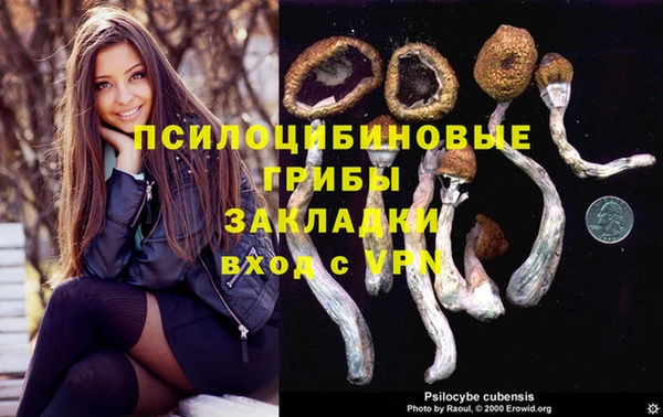 ГАЛЛЮЦИНОГЕННЫЕ ГРИБЫ Алексин