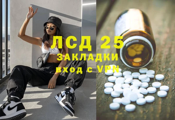 ГАЛЛЮЦИНОГЕННЫЕ ГРИБЫ Алексин