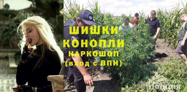 ГАЛЛЮЦИНОГЕННЫЕ ГРИБЫ Алексин