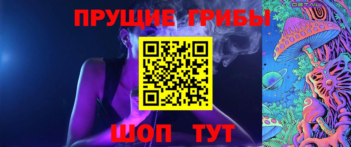 Псилоцибиновые грибы Cubensis Георгиевск