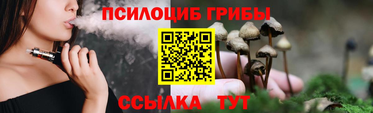 Галлюциногенные грибы прущие грибы  Вход с VPN  Георгиевск 