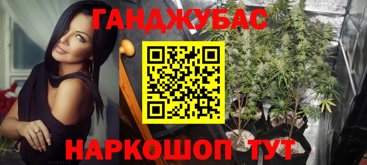 Бошки Шишки марихуана  МАРИХУАНА планчик  Вход с VPN  Бошки марихуана THC 21%  Георгиевск 